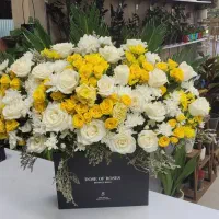 باکس مشکی|گل و گیاه طبیعی|شیراز, خلدبرین|دیوار