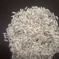 برنج علی کاظمی