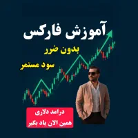 آموزش حرفه ای فارکس