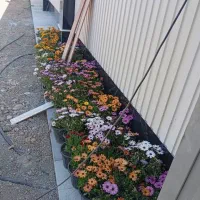 سنگ مصنوعی کیتکا