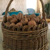 سبد حصیری|صنایع دستی و سایر لوازم تزئینی|مسجد سلیمان, |دیوار