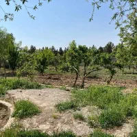 زمین-285-متری-کیانمهر-سلطان-آباد