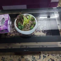 مبل راحتی|مبلمان خانگی و میز عسلی|اصفهان, امیرعرب|دیوار