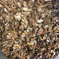 گردو معمولی و گردو کار|خوردنی و آشامیدنی|تهران, اباذر|دیوار