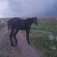 ۵۰۰۰۰۰۰۰