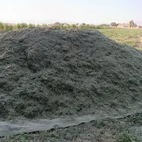 یونجه