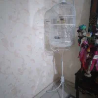 قفس پرنده ایستاده