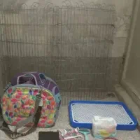 وسایل سگ قیمت 5میلون