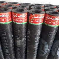 ایزوگام شرق