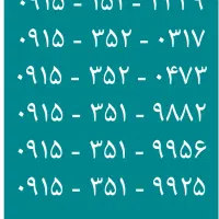 ۰۹۱۵۳۵۱۷۶۰۲|سیم‌کارت|نیشابور, امین اسلامی|دیوار