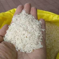 برنج طارم مازندران