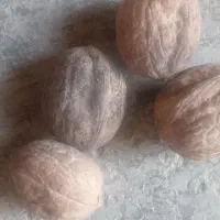 گردو کوهستانی طبیعی زرکشت