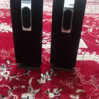 ساز سنتی قدیمی بخاطر بلد نبودن بفروش میرسد|سازهای سنتی|تبریز, |دیوار