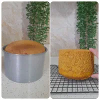 کیک خامه ای|خوردنی و آشامیدنی|سیلوانه, |دیوار