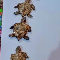 لاکپشت دکوری