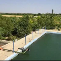 مشارکت در احداث گلخانه