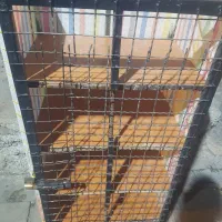 جفت کن