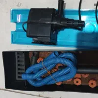 تاپ فیلتر|ماهی|شیراز, تندگویان|دیوار