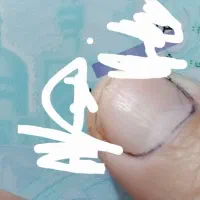 کارت ملی پیداشده