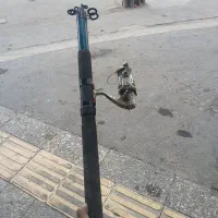 چوبه ماهی گیری