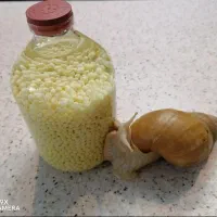 حلزون مولد و سوپر مولد تخمگذار، خاویار حلزون