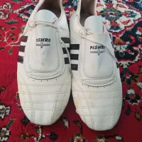 کفش تکواندو