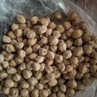 نخود|عمده‌فروشی|کوهین, |دیوار