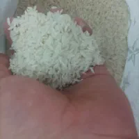 برنج طارم هاشمی درجه یک با تضمین