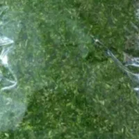 سبزی خوروش تازه|خوردنی و آشامیدنی|داراب, |دیوار