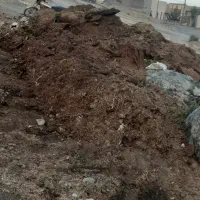 کود حیوانی