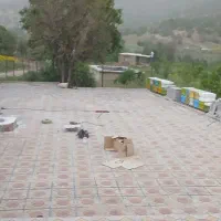 استادکار کاشیکاریسیمکشیلولهکشیموزائیککاری|خدمات پیشه و مهارت|بانه, |دیوار