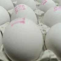 4 شانه تخم مرغ