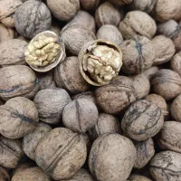 گردو کاغذی امسال
