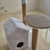 خانه و اسکرچر گربه|گربه|یزد, |دیوار