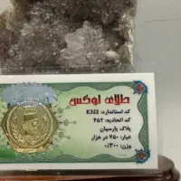 سکه ۶۵۰ سوتی پارسیان
