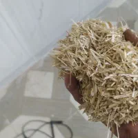 فروش کاه کیلویی 12