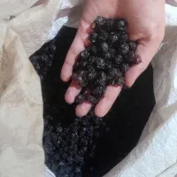 آلو بخارا.لواشک.برگه سیب هلو گلابی آلو آلبالو