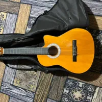 گیتار کلاستیک
