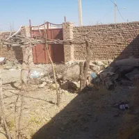 اجاره ۳۵۰ متر زمین با یک اطاقک داخل شهر