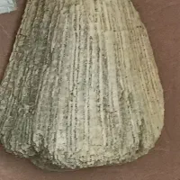 سنگ و شن آکواریوم