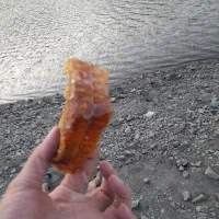 عسل کوهی اصل