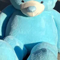 عروسک|اسباب‌‌بازی|مشگین شهر, |دیوار