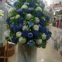 گل خواستگاری