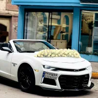 اجاره ماشین عروس شورلت کامارو کروک|خدمات پذیرایی، مراسم|رشت, معلم|دیوار