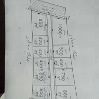زمین باغی جنگل فندقلو