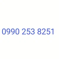 0990-253-8251
