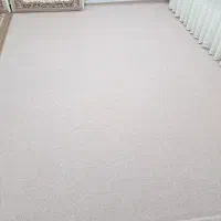 موکت درحدنو|موکت|بدره, |دیوار