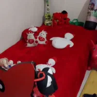 سرویس خواب|تخت و سرویس خواب|اصفهان, لاله|دیوار