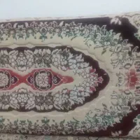 ۲جفت‌پشتی‌