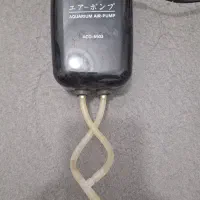 آکواریوم|ماهی|ارومیه, |دیوار